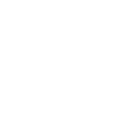 The github invertocat